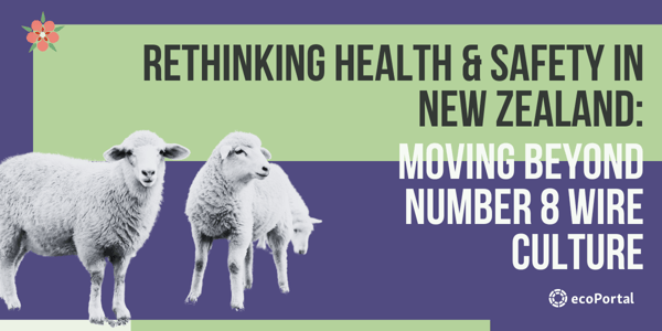 Rethinking Health and Safety in New Zealand: Moving Beyond Number 8 Wire Culture