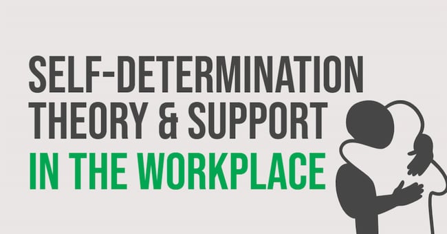 Self-Determination Theory & Support In the Workplace